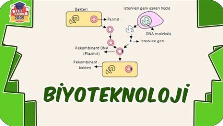 Biyoteknoloji ve Genetik Mühendisliği Eğitimleri