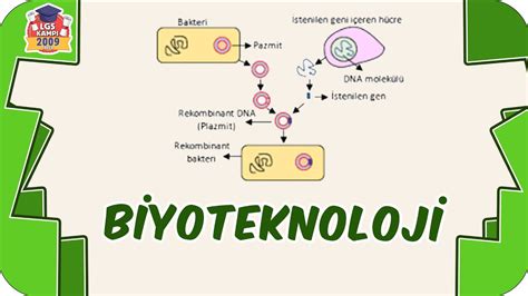 Biyoteknoloji ve Genetik Mühendisliği Eğitimleri